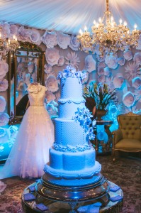 AdrianaBombom-DaniVieira-SheslaineHayalla-desfilam-de-IvanaBeaumond-no-inesquecivel-casamento-icweek-2017 (1)