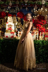 debutante-agatha-a-bela-e-a-fera-vestido-ivana-beaumond-paris(3)