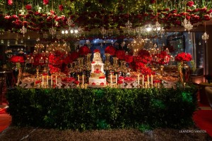 debutante-agatha-a-bela-e-a-fera-vestido-ivana-beaumond-paris(7)