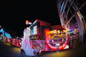 ensaio de casamento estados unidos orlando flórida vestido atelier ivana beaumond rj noivas (13)